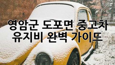 영암군 도포면 중고차 유지비 완벽 가이드
