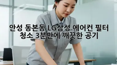 안성 동본동 LG/삼성 에어컨 필터 청소, 3분만에 깨끗한 공기!